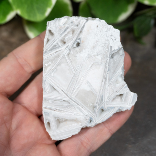 Lattice Lace Agate #4