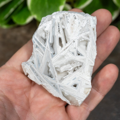 Lattice Lace Agate #4