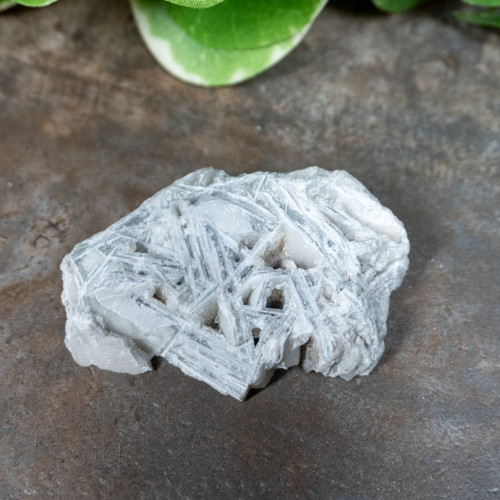 Lattice Lace Agate #3