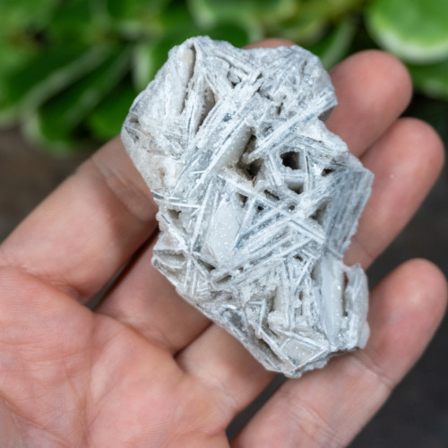 Lattice Lace Agate #3