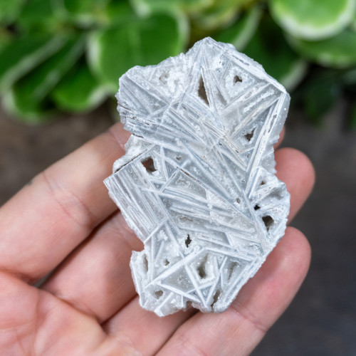 Lattice Lace Agate #3