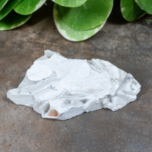 Lattice Lace Agate #2