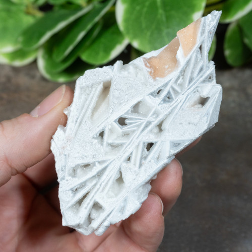 Lattice Lace Agate #2