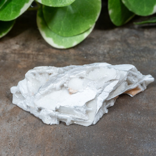 Lattice Lace Agate #2