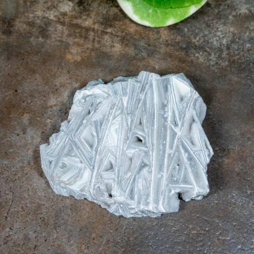 Lattice Lace Agate #1