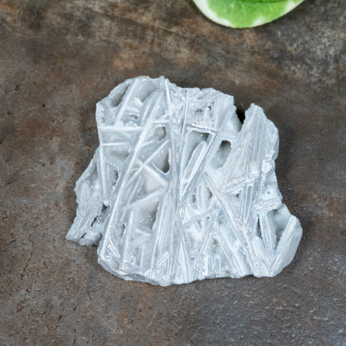 Lattice Lace Agate #1