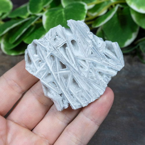 Lattice Lace Agate #1