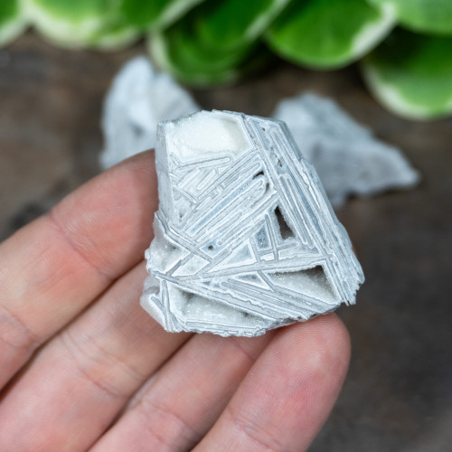 Lattice Lace Agate Small Random