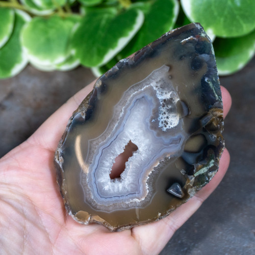 Timor Agate Slice #7