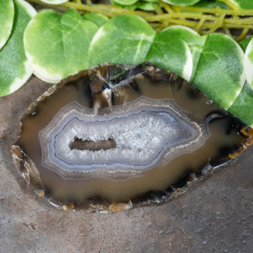 Timor Agate Slice #7