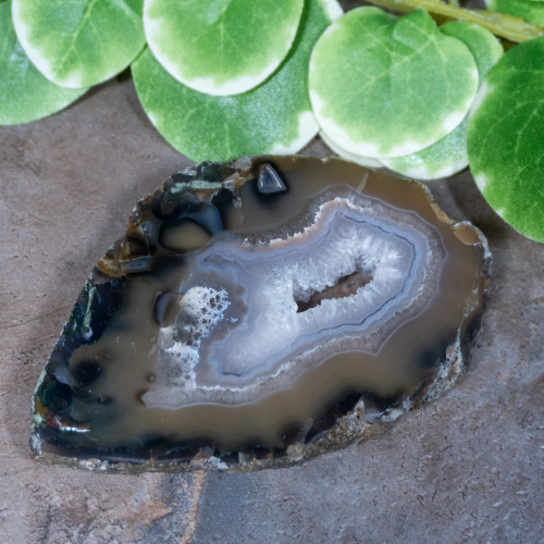 Timor Agate Slice #7