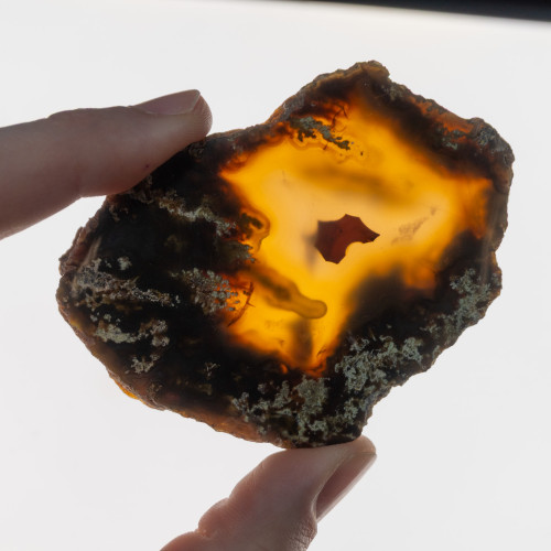 Timor Agate Slice #6