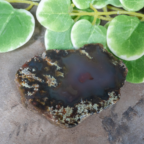 Timor Agate Slice #6