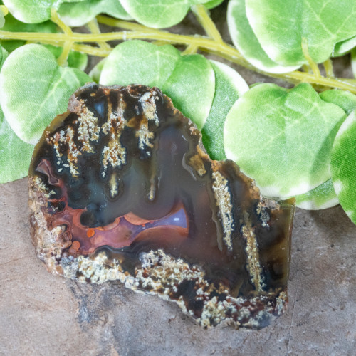 Timor Agate Slice #5