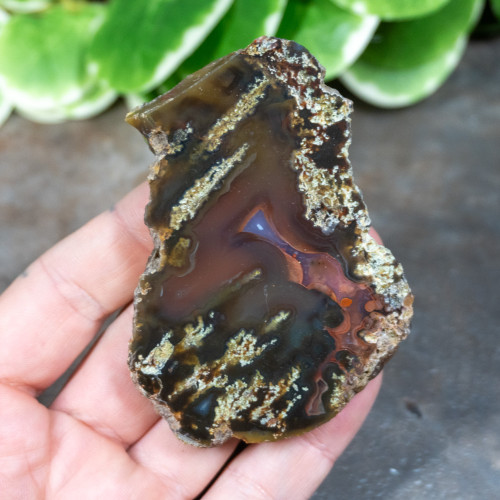 Timor Agate Slice #5
