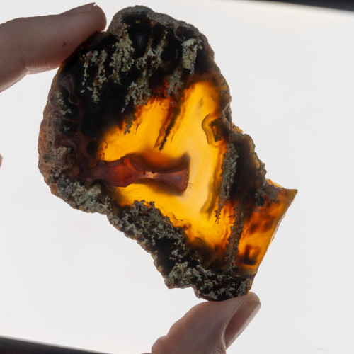 Timor Agate Slice #5