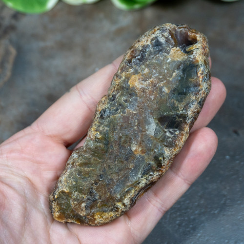 Timor Agate Slice #4