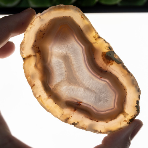 Timor Agate Slice #3