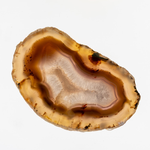 Timor Agate Slice #3
