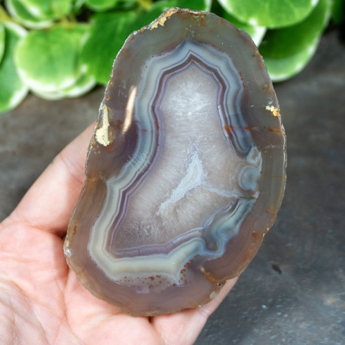 Timor Agate Slice #3