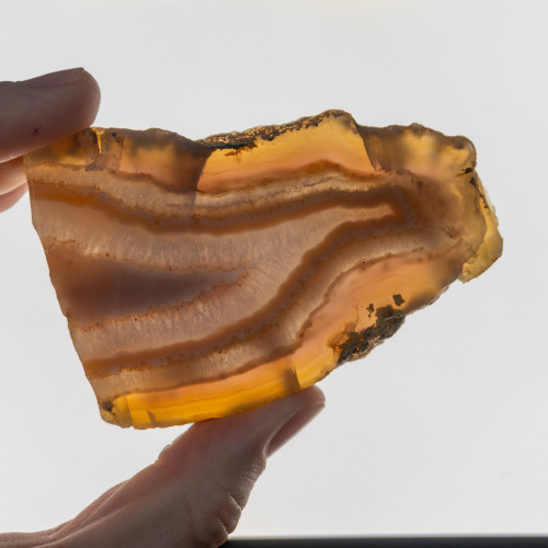 Timor Agate Slice #2