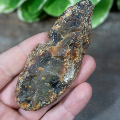 Timor Agate Slice #1