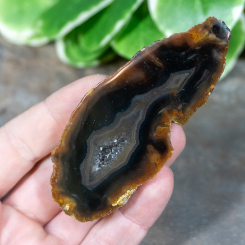 Timor Agate Slice #1