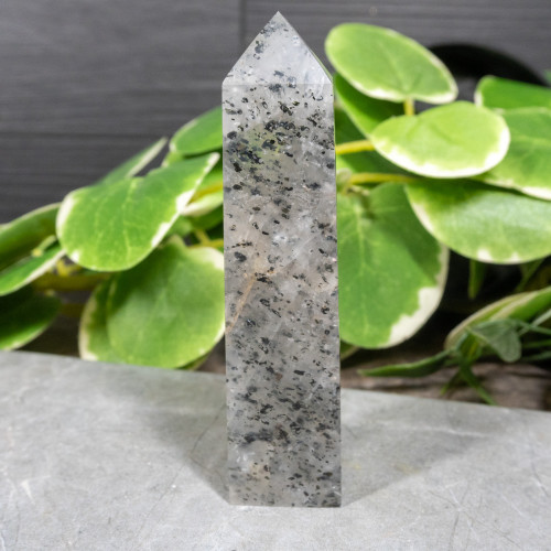 Mica in Quartz Tower #5