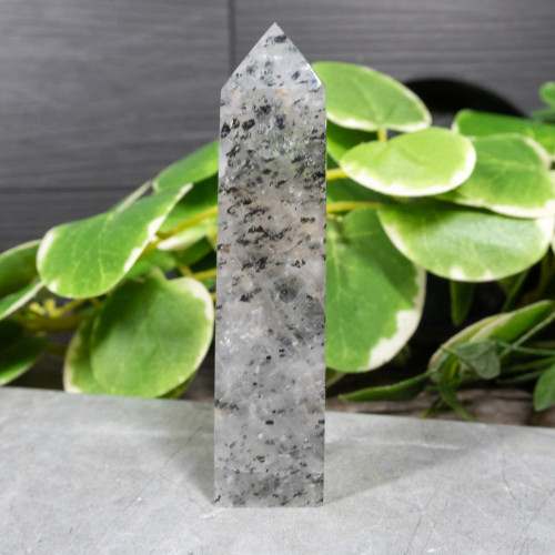 Mica in Quartz Tower #5