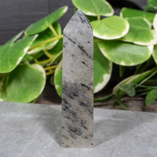 Mica in Quartz Tower #4