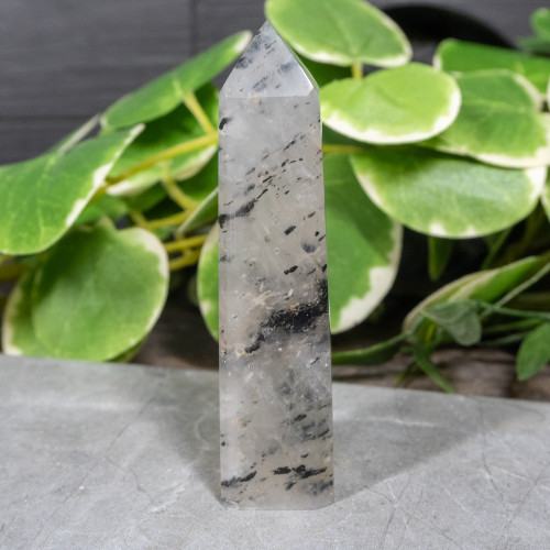 Mica in Quartz Tower #4