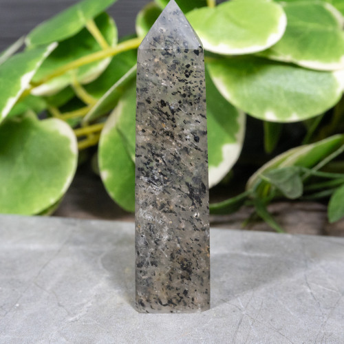 Mica in Quartz Tower #2