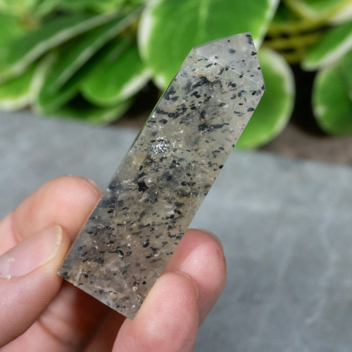 Mica in Quartz Tower #1