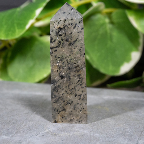 Mica in Quartz Tower #1