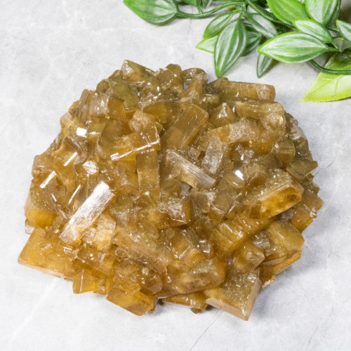 Golden Barite on Fluorite #22