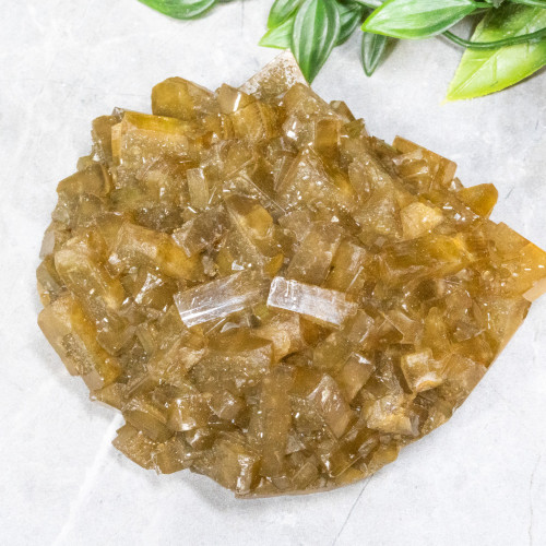 Golden Barite on Fluorite #22