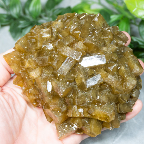 Golden Barite on Fluorite #22