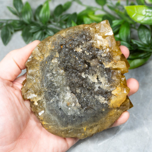 Golden Barite on Fluorite #22