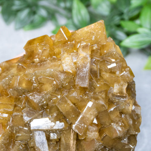 Golden Barite on Fluorite #22