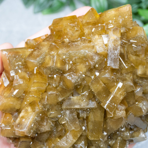 Golden Barite on Fluorite #22