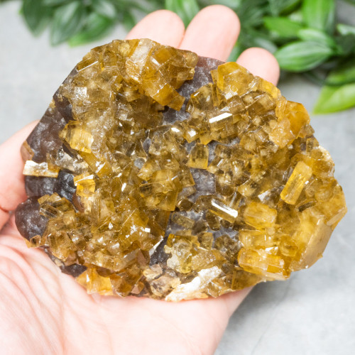 Golden Barite on Fluorite #21