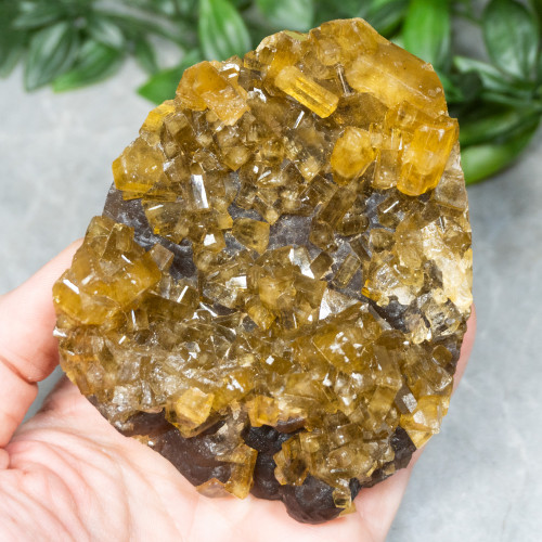 Golden Barite on Fluorite #21