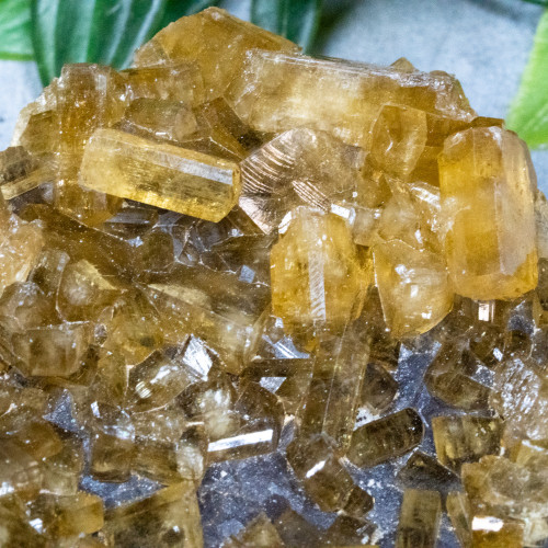 Golden Barite on Fluorite #21