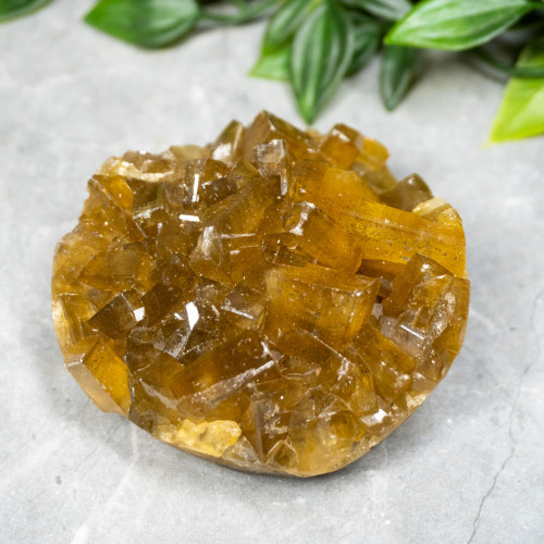 Golden Barite With Pyrite on Fluorite #20