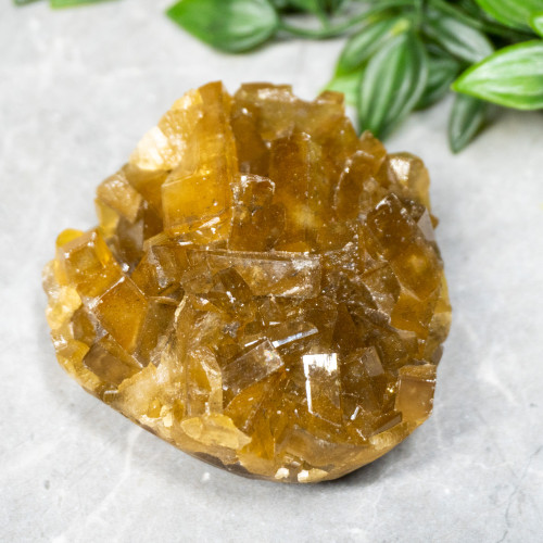 Golden Barite With Pyrite on Fluorite #20