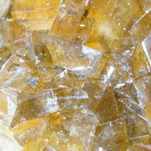 Golden Barite With Pyrite on Fluorite #20