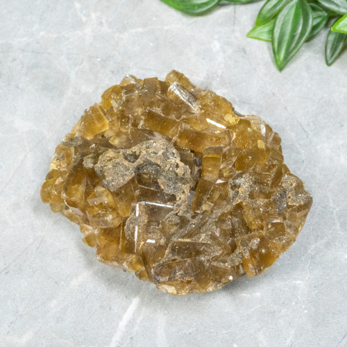 Golden Barite on Fluorite #19