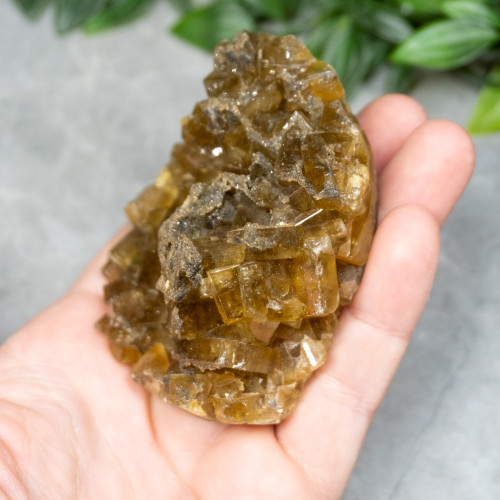 Golden Barite on Fluorite #19