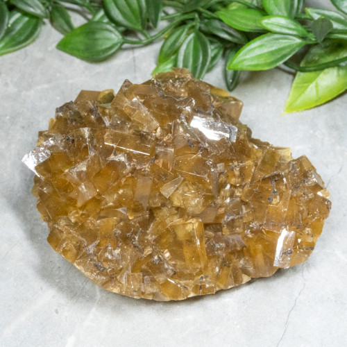 Golden Barite on Fluorite #18