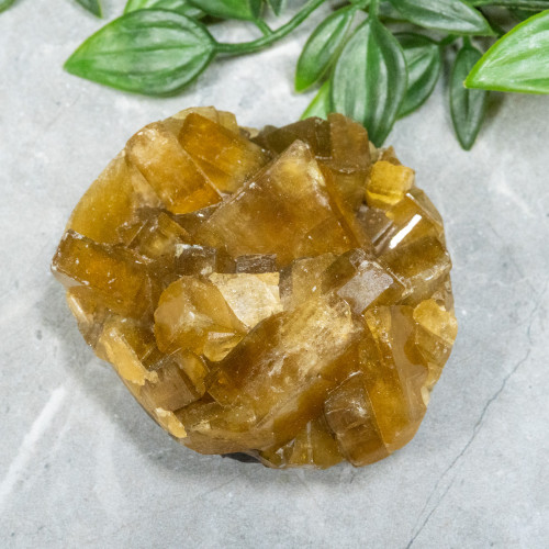 Golden Barite on Fluorite #17